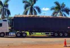 Bagaço de Cana Fresco para Alimentação Animal – Bovinos, Equinos e Ovinos