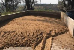 Bagaço de Cevada Úmida para Nutrição Animal - Venda em Morungaba/SP