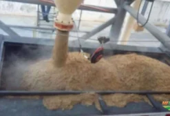 Bagaço de Cevada (Pó de Malte) para Nutrição Animal - Alto Teor de Proteína e Energia