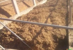 Bagaço de Cevada para Alimentação Animal - Tonelada a R$ 390 - Cachoeiras de Macacu/RJ
