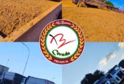 Resíduo Úmido de Cervejaria (Cevada) para Alimentação Animal