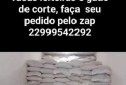 Cevada Seca para Nutrição Animal – Alto Teor de Proteína