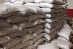Torta de Palmiste (Dendê) para Alimentação Animal – Saco 40 kg – Tucuruí/PA