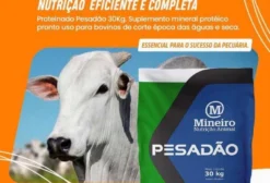 Suplemento Mineral Proteico 25% PB para Bovinos - Mineiro Pesadão 25 Seca 30kg
