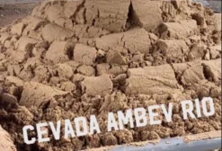 Bagaço de Cevada para Nutrição Animal – Tonelada – Miguel Pereira/RJ