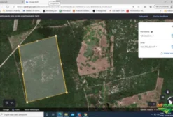 Excelente Terreno para Fazenda Solar – Arrendamento ou Venda em Beberibe/CE