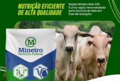 Ração Mineiro Leite 22% PB 40kg – Suporte Completo para Lactação de Vacas Leiteiras
