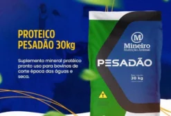 Suplemento Mineral Proteico Mineiro Pesadão 200 30kg – 20% PB para Recria e Engorda de Bovinos