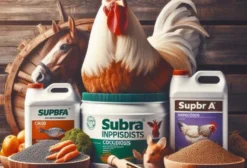 Ração Supra Impulso Coccidiose para Aves 25kg - Planaltina/DF