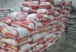 Farelo de Soja 50 kg – Nutrição Animal de Alta Proteína