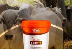 Núcleo Mineral Fort+ com Virginiamicina e Vitaminas ADE - 12kg
