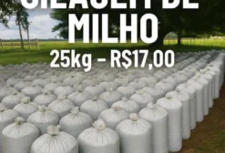 Silagem de Milho Premium – Saco de 25 kg
