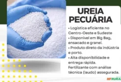 Ureia Pecuária para Bovinos – Suplementação Nitrogenada de Alta Eficiência