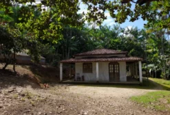 Chácara de 11 Hectares à Venda em Presidente Tancredo Neves - BA