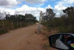 Fazenda Barbada – 2.393 Hectares à Venda em Riachão das Neves, BA