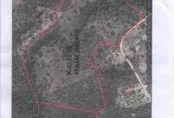 Área Rural de 24 Hectares ao lado da Gujão Alimentos – Centro Industrial, Feira de Santana/BA
