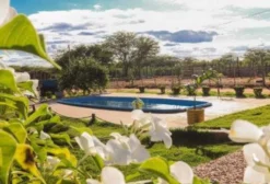 Linda Chácara em Juazeiro – BA com 1 Hectare, Piscina e Pomar à Venda