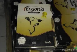 Suplemento Probiótico para Confinamento e Engorda de Novilhas - 8g/dia