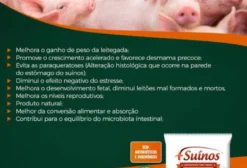 Concentrado Orgânico para Suínos com Prebióticos, Probióticos e Leveduras