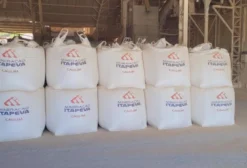 Itageo Caulim Filito para Nutrição Animal – Carga Mineral Inerte 20kg a Granel