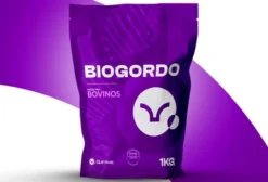 Núcleo Mineral Biogordo com Probióticos para Bovinos de Corte – 10 kg