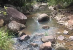 Chácara Rural com 5 Alqueires e Infraestrutura Completa em Israelândia - GO