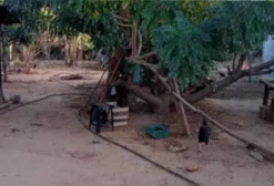 Chácara de 1.230 m² à Beira do Rio Uru em Itaberaí - GO