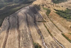 Propriedade Rural de 30 Hectares em Cristalina-GO com Poço Artesiano