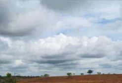 Chácaras Rurais em Patos de Minas - MG a partir de 3 hectares (30.000 m²)