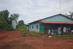 Chácara Plana de 8 Hectares com Sede e Pomar Produtivo em Buritis - MG