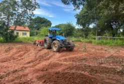 Sítio de 10,52 ha a 900 m do Asfalto e 8 km de Pintópolis - MG