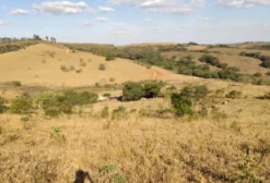 Terreno Rural para Arrendamento – 47,78 Hectares em São João Del Rei, MG