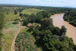Chácara Rural com 39 ha às Margens do Rio Urucuia – Riachinho/MG