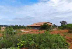 Chácara para Lazer em Paraopeba - MG com Casa, Pomar e Ipês