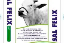 Sal Branco para Gado – Direto da Fábrica – Saco 25 kg (Mossoró/RN)
