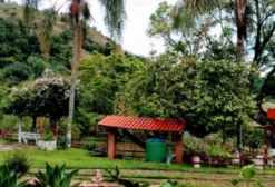 Sítio em Piranguçu (MG) – 2 Alqueires com 3 Lagos, 2 Casas, Piscina e Pomar à Venda