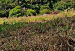 Chácaras à Venda em Jacutinga - MG | Lotes de 500 m² a 2.400 m²