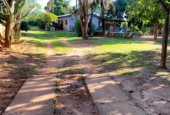 Chácara à Venda em Naviraí-MS – 11.400 m² com Casa, Piscina, Pomar e Frente para Avenida