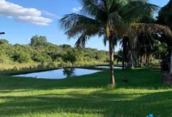 Chácara à Venda em Anhandui, Campo Grande – MS – Porteira Fechada
