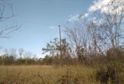 Chácara 2,5 ha em Área Rural com Infraestrutura Básica - Campo Grande/MS