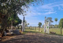 Chácara de 10 hectares em Jardim MS – Próxima a Bonito com Casa e Infraestrutura Completa