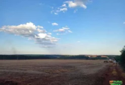 Fazenda em Nova Alvorada do Sul – 66 ha com Soja Plantada e Estrutura Completa