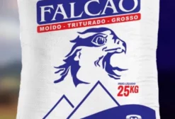 Sal Branco Tipo Exportação 25 kg – Embalagem Laminada de Alta Qualidade