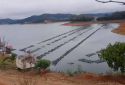 Arrendamento de Piscicultura em Tanque Rede – Paraibuna/SP