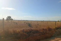 Área para arrendamento rural em Novo Jardim/TO
