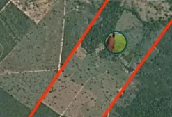 Chácara de 84 hectares à venda em Nova Xavantina, MT