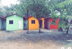Sítio com Balneário e Plantação de Açaí em Curuçá - PA