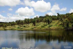 Propriedade Rural de 50 Hectares em Conde - PB com Casa Sede e Piscina