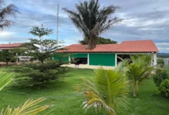 Chácara Rural com 5 Hectares à Venda em Bom Jesus - PI