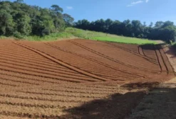 Chácara Rural à Venda em Colombo - PR | 15 mil m² com Casa, Salão e Barracão